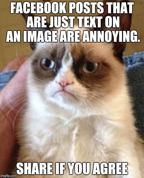 Grumpy Cat Meme | FACEBOOK POSTS THAT ARE JUST TEXT ON AN IMAGE ARE ANNOYING. SHARE IF YOU AGREE | image tagged in memes,grumpy cat | made w/ Imgflip meme maker