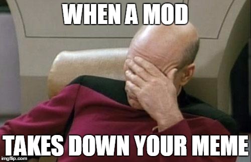 Captain Picard Facepalm | WHEN A MOD TAKES DOWN YOUR MEME | image tagged in memes,captain picard facepalm | made w/ Imgflip meme maker