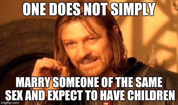 One Does Not Simply Meme | ONE DOES NOT SIMPLY MARRY SOMEONE OF THE SAME SEX AND EXPECT TO HAVE CHILDREN | image tagged in memes,one does not simply | made w/ Imgflip meme maker