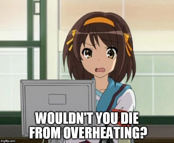 Haruhi Internet disturbed | WOULDN'T YOU DIE FROM OVERHEATING? | image tagged in haruhi internet disturbed | made w/ Imgflip meme maker