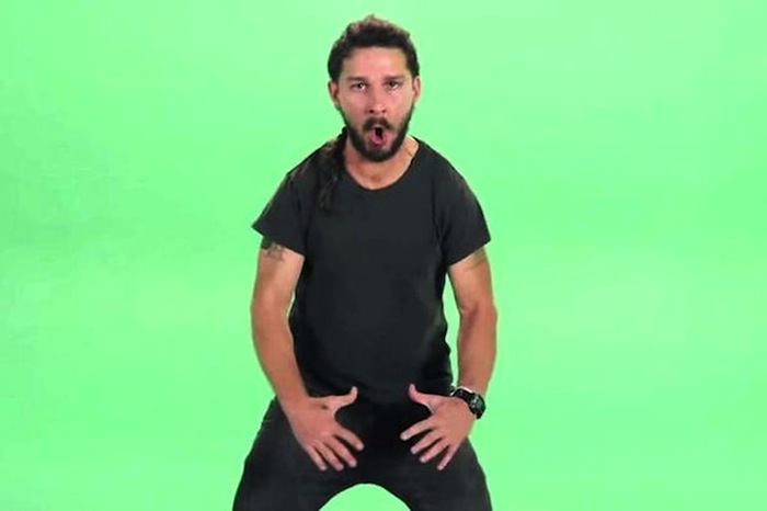 rekt shia Blank Meme Template