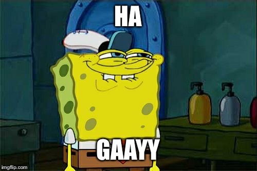 Don't You Squidward | HA GAAYY | image tagged in memes,dont you squidward | made w/ Imgflip meme maker