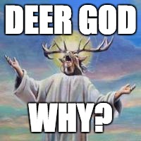 DEER GOD WHY? | image tagged in deer god | made w/ Imgflip meme maker