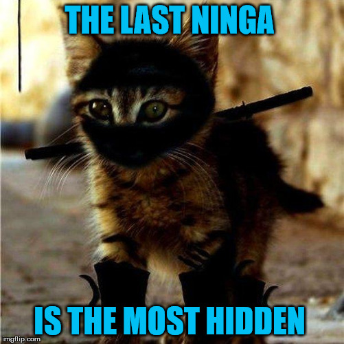 Ninja Cat | THE LAST NINGA IS THE MOST HIDDEN | image tagged in ninja cat | made w/ Imgflip meme maker