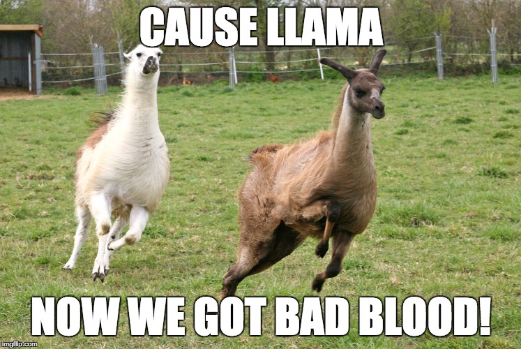 CAUSE LLAMA NOW WE GOT BAD BLOOD! | made w/ Imgflip meme maker