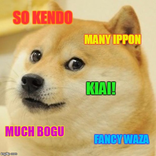 Doge Meme | SO KENDO MANY IPPON KIAI! MUCH BOGU FANCY WAZA | image tagged in memes,doge | made w/ Imgflip meme maker