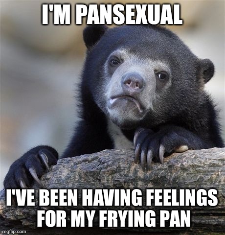 Confession Bear Meme | I'M PANSEXUAL I'VE BEEN HAVING FEELINGS FOR MY FRYING PAN | image tagged in memes,confession bear | made w/ Imgflip meme maker