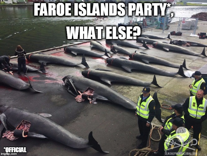 FAROE ISLANDS PARTY*, WHAT ELSE? *OFFICIAL | made w/ Imgflip meme maker