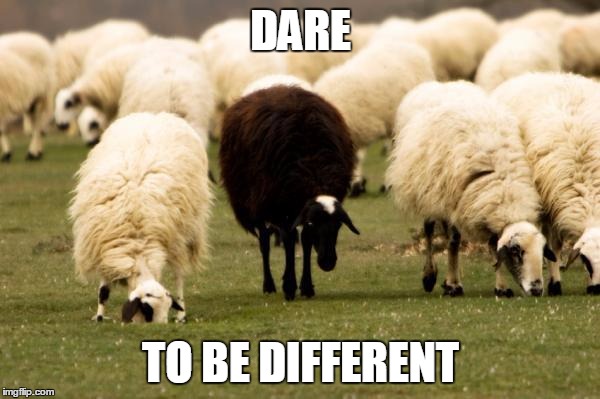 Dare To Be Different - Imgflip