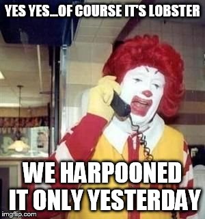 McAngry | YES YES...OF COURSE IT'S LOBSTER WE HARPOONED IT ONLY YESTERDAY | image tagged in mcangry | made w/ Imgflip meme maker