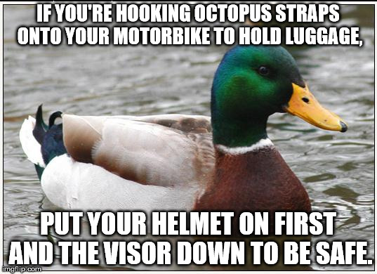 Actual Advice Mallard Meme | IF YOU'RE HOOKING OCTOPUS STRAPS ONTO YOUR MOTORBIKE TO HOLD LUGGAGE, PUT YOUR HELMET ON FIRST AND THE VISOR DOWN TO BE SAFE. | image tagged in memes,actual advice mallard,motorcyclememes | made w/ Imgflip meme maker