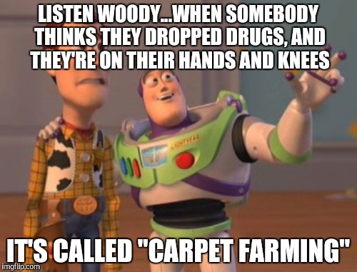X, X Everywhere | LISTEN WOODY...WHEN SOMEBODY THINKS THEY DROPPED DRUGS, AND THEY'RE ON THEIR HANDS AND KNEES IT'S CALLED "CARPET FARMING" | image tagged in memes,x x everywhere | made w/ Imgflip meme maker