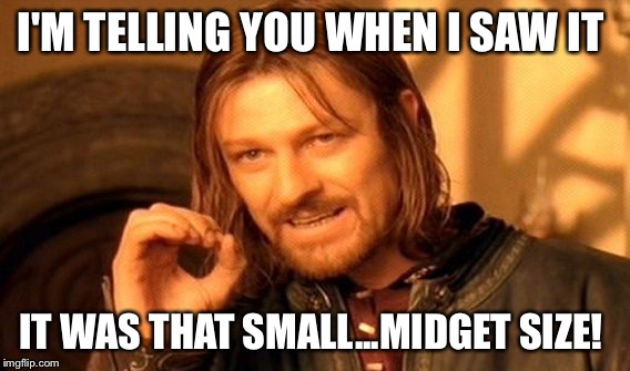 One Does Not Simply Meme | I'M TELLING YOU WHEN I SAW IT IT WAS THAT SMALL...MIDGET SIZE! | image tagged in memes,one does not simply | made w/ Imgflip meme maker