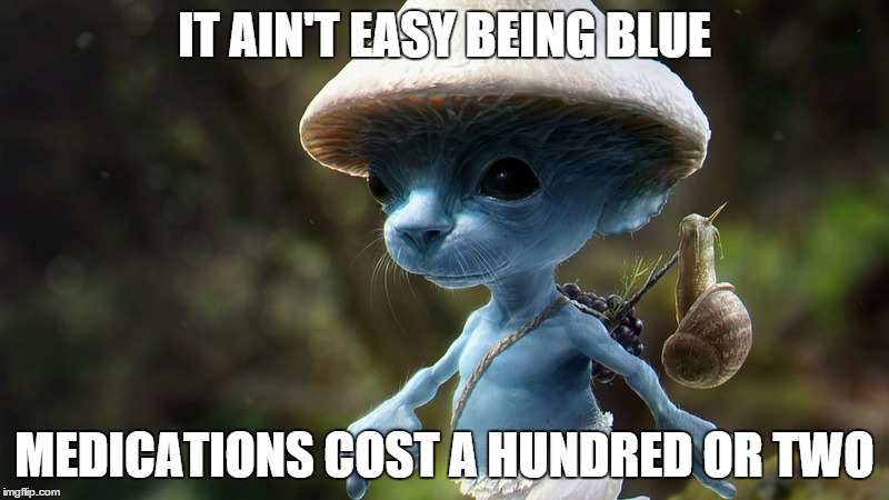 Smurf Dude | IT AIN'T EASY BEING BLUE MEDICATIONS COST A HUNDRED OR TWO | image tagged in smurf dude | made w/ Imgflip meme maker