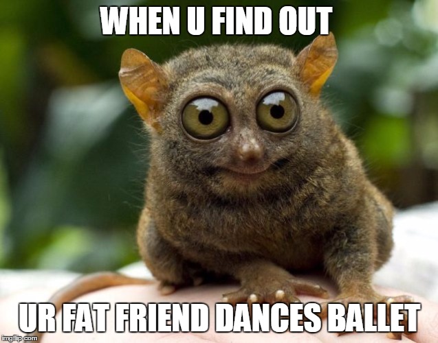 These Awkward Moments | WHEN U FIND OUT UR FAT FRIEND DANCES BALLET | image tagged in awkward,when u find out,funny,creepy condescending wonka,funny animals | made w/ Imgflip meme maker