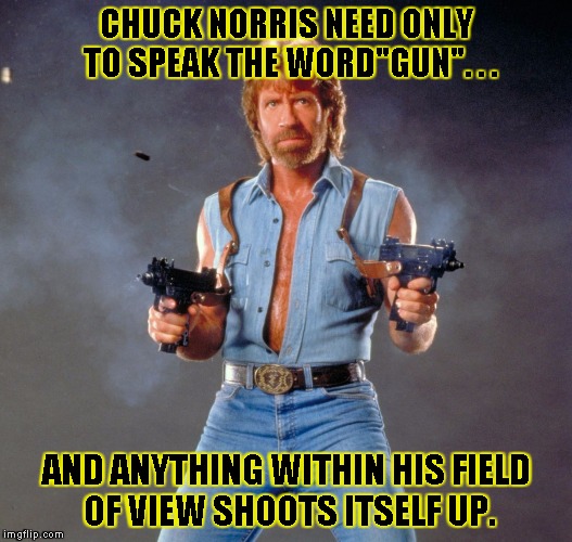 Chuck Norris Guns Meme | CHUCK NORRIS NEED ONLY TO SPEAK THE WORD"GUN". . . AND ANYTHING WITHIN HIS FIELD OF VIEW SHOOTS ITSELF UP. | image tagged in chuck norris | made w/ Imgflip meme maker