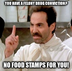 Soup Nazi | YOU HAVE A FELONY DRUG CONVICTION? NO FOOD STAMPS FOR YOU! | image tagged in soup nazi | made w/ Imgflip meme maker