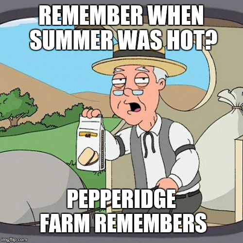 Pepperidge Farm Remembers | REMEMBER WHEN SUMMER WAS HOT? PEPPERIDGE FARM REMEMBERS | image tagged in memes,pepperidge farm remembers,summer,weather,funny memes,funny | made w/ Imgflip meme maker