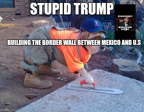 Construction dog | STUPID TRUMP BUILDING THE BORDER WALL BETWEEN MEXICO AND U.S | image tagged in construction dog,scumbag | made w/ Imgflip meme maker