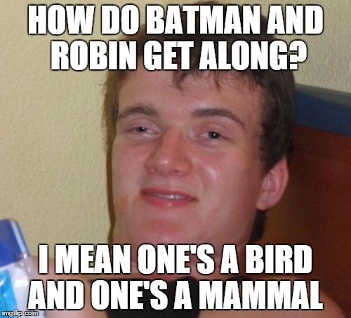 10 Guy Meme | HOW DO BATMAN AND ROBIN GET ALONG? I MEAN ONE'S A BIRD AND ONE'S A MAMMAL | image tagged in memes,10 guy,batman slapping robin | made w/ Imgflip meme maker