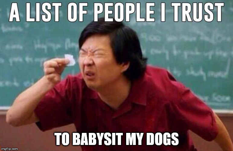 TO BABYSIT MY DOGS | image tagged in dogs,list of people i trust | made w/ Imgflip meme maker