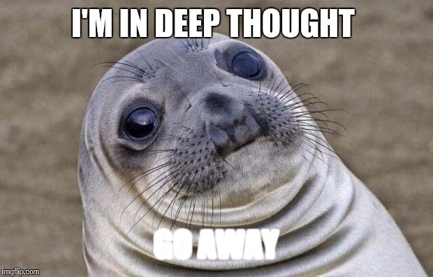 Awkward Moment Sealion | I'M IN DEEP THOUGHT GO AWAY | image tagged in memes,awkward moment sealion | made w/ Imgflip meme maker