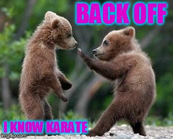 ninja bears | BACK OFF I KNOW KARATE | image tagged in ninja bears | made w/ Imgflip meme maker
