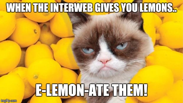 Grumpy Cat lemons | WHEN THE INTERWEB GIVES YOU LEMONS.. E-LEMON-ATE THEM! | image tagged in grumpy cat lemons | made w/ Imgflip meme maker