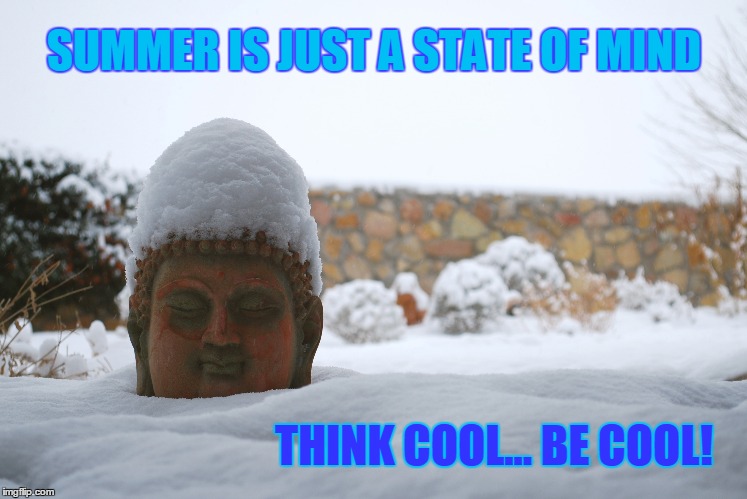 Think Cool... Be Cool! | SUMMER IS JUST A STATE OF MIND THINK COOL... BE COOL! | image tagged in summer,vince vance,mind over matter | made w/ Imgflip meme maker