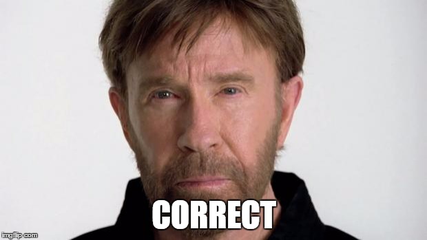 Chuck Norris | CORRECT | image tagged in chuck norris | made w/ Imgflip meme maker