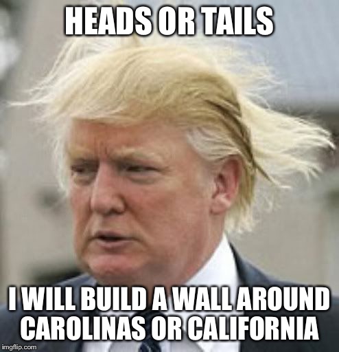 Random wall building game show host | HEADS OR TAILS I WILL BUILD A WALL AROUND CAROLINAS OR CALIFORNIA | image tagged in donald trump 1,memes | made w/ Imgflip meme maker