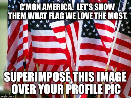 C'MON AMERICA.  LET'S SHOW THEM WHAT FLAG WE LOVE THE MOST. SUPERIMPOSE THIS IMAGE OVER YOUR PROFILE PIC | image tagged in flags | made w/ Imgflip meme maker
