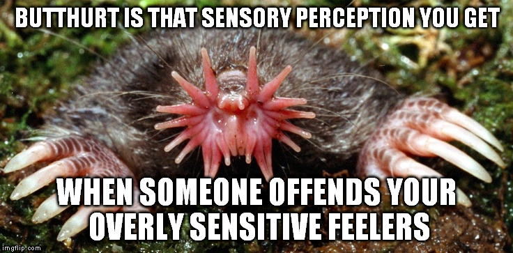 BUTTHURT IS THAT SENSORY PERCEPTION YOU GET WHEN SOMEONE OFFENDS YOUR OVERLY SENSITIVE FEELERS | image tagged in feelers | made w/ Imgflip meme maker