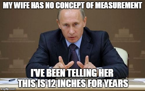 Vladimir Putin | MY WIFE HAS NO CONCEPT OF MEASUREMENT I'VE BEEN TELLING HER THIS IS 12 INCHES FOR YEARS | image tagged in memes,vladimir putin | made w/ Imgflip meme maker