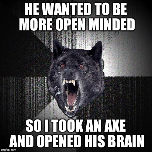 Insanity Wolf | HE WANTED TO BE MORE OPEN MINDED SO I TOOK AN AXE AND OPENED HIS BRAIN | image tagged in memes,insanity wolf | made w/ Imgflip meme maker