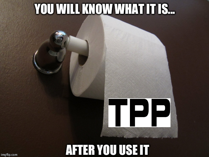 YOU WILL KNOW WHAT IT IS... AFTER YOU USE IT | image tagged in tpp | made w/ Imgflip meme maker