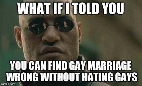 Matrix Morpheus | WHAT IF I TOLD YOU YOU CAN FIND GAY MARRIAGE WRONG WITHOUT HATING GAYS | image tagged in memes,matrix morpheus | made w/ Imgflip meme maker