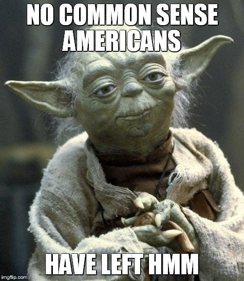 Star Wars Yoda | NO COMMON SENSE AMERICANS HAVE LEFT HMM | image tagged in yoda | made w/ Imgflip meme maker