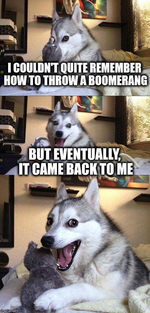 Bad Pun Dog 1 | I COULDN'T QUITE REMEMBER HOW TO THROW A BOOMERANG BUT EVENTUALLY, IT CAME BACK TO ME | image tagged in memes,bad pun dog,dog,cute,puns | made w/ Imgflip meme maker