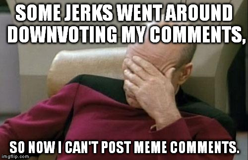 I understand the point of the comment reputation thing, but this is just absurd. | SOME JERKS WENT AROUND DOWNVOTING MY COMMENTS, SO NOW I CAN'T POST MEME COMMENTS. | image tagged in memes,captain picard facepalm | made w/ Imgflip meme maker