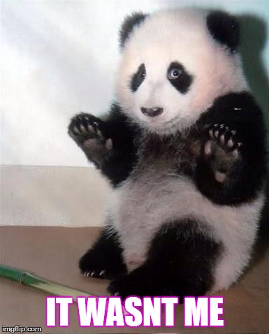 Hands Up panda | IT WASNT ME | image tagged in hands up panda | made w/ Imgflip meme maker