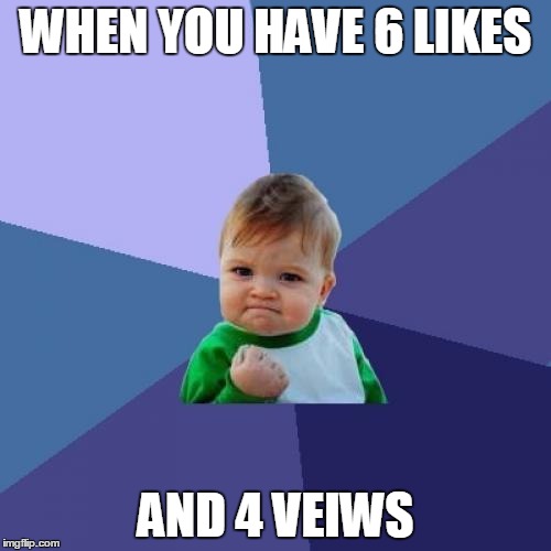 HACKER!!! | WHEN YOU HAVE 6 LIKES AND 4 VEIWS | image tagged in memes,success kid | made w/ Imgflip meme maker
