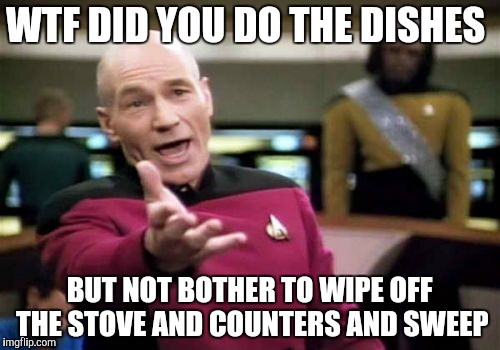 Do the "dishes" should imply "clean the kitchen"  | WTF DID YOU DO THE DISHES BUT NOT BOTHER TO WIPE OFF THE STOVE AND COUNTERS AND SWEEP | image tagged in memes,picard wtf,dishes,funny,lazy,slacker | made w/ Imgflip meme maker
