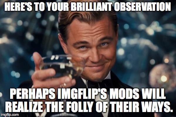 Leonardo Dicaprio Cheers Meme | HERE'S TO YOUR BRILLIANT OBSERVATION PERHAPS IMGFLIP'S MODS WILL REALIZE THE FOLLY OF THEIR WAYS. | image tagged in memes,leonardo dicaprio cheers | made w/ Imgflip meme maker