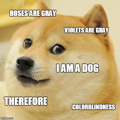 Doge | ROSES ARE GRAY VIOLETS ARE GRAY I AM A DOG THEREFORE COLORBLINDNESS | image tagged in memes,doge | made w/ Imgflip meme maker