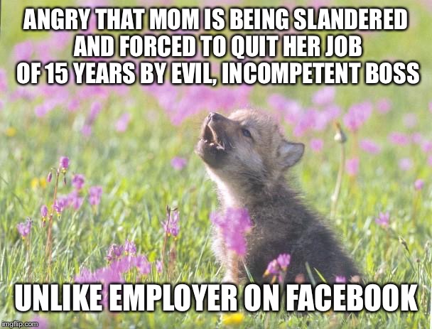 Baby Insanity Wolf | ANGRY THAT MOM IS BEING SLANDERED AND FORCED TO QUIT HER JOB OF 15 YEARS BY EVIL, INCOMPETENT BOSS UNLIKE EMPLOYER ON FACEBOOK | image tagged in memes,baby insanity wolf,AdviceAnimals | made w/ Imgflip meme maker