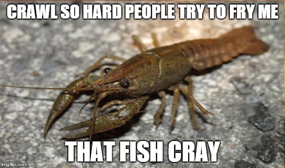 CRAWL SO HARD PEOPLE TRY TO FRY ME THAT FISH CRAY | made w/ Imgflip meme maker