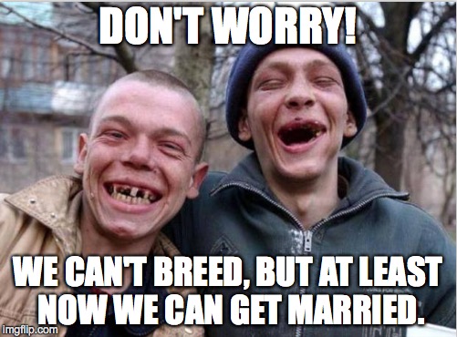 DON'T WORRY! WE CAN'T BREED, BUT AT LEAST NOW WE CAN GET MARRIED. | made w/ Imgflip meme maker