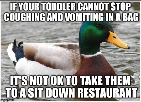 Actual Advice Mallard Meme | IF YOUR TODDLER CANNOT STOP COUGHING AND VOMITING IN A BAG IT'S NOT OK TO TAKE THEM TO A SIT DOWN RESTAURANT | image tagged in memes,actual advice mallard,AdviceAnimals | made w/ Imgflip meme maker