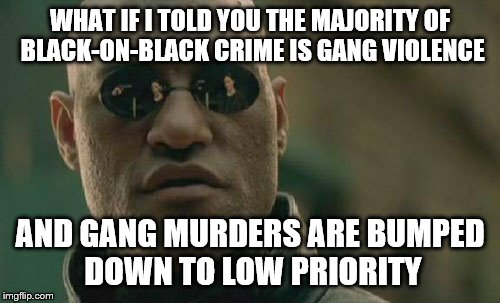 Matrix Morpheus Meme | WHAT IF I TOLD YOU THE MAJORITY OF BLACK-ON-BLACK CRIME IS GANG VIOLENCE AND GANG MURDERS ARE BUMPED DOWN TO LOW PRIORITY | image tagged in memes,matrix morpheus | made w/ Imgflip meme maker
